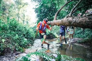 BIB: 
                            <button type="button" onclick="openModal(25439248)" class="btn btn-primary btn-sm float-right btn-popup" data-toggle="modal" data-target=".modal-high-quality">
                        <i class="fas fa-shopping-cart"></i> Add to Cart
                    </button>
                                            <button type="button" onclick="isThisMe(25439248, true)" class="btn btn-success btn-sm float-right btn-popup btn-isme hidden" data-toggle="tooltip" data-placement="bottom" title="นี่คือรูปของคุณใช่ไหม คลิกที่นี่เพื่อเอาเข้าอัลบั้ม">
                        <i class="fas fa-plus"></i> Add to album
                    </button>
                    <button type="button" onclick="isThisMe(25439248, false)" class="btn btn-warning btn-sm float-right btn-popup btn-isnotme hidden">
                        <i class="fas fa-ban"></i> Remove from album
                    </button>